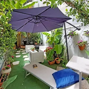 Luxury Domus Roma